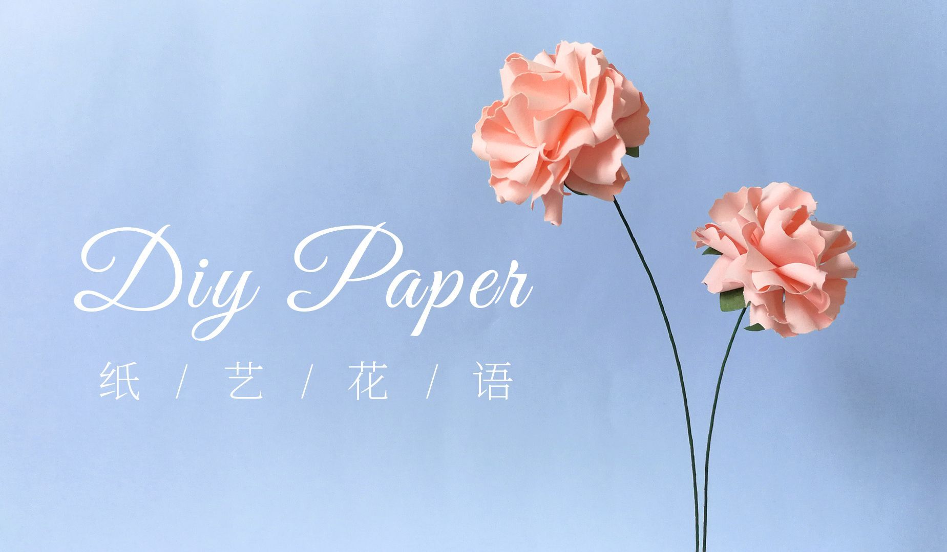 手工DIY纸艺，花艺，用纸制作漂亮的康乃馨——《纸艺花语》