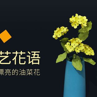 手工DIY纸花，用纸做漂亮的油菜花——《纸艺花语》