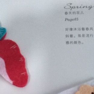 不织布刺绣胡萝卜