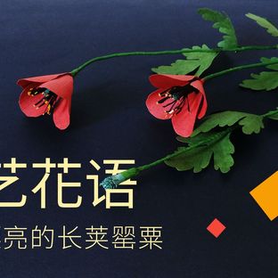 手工DIY纸艺，用纸制作漂亮的长荚罂粟——《纸艺花语》