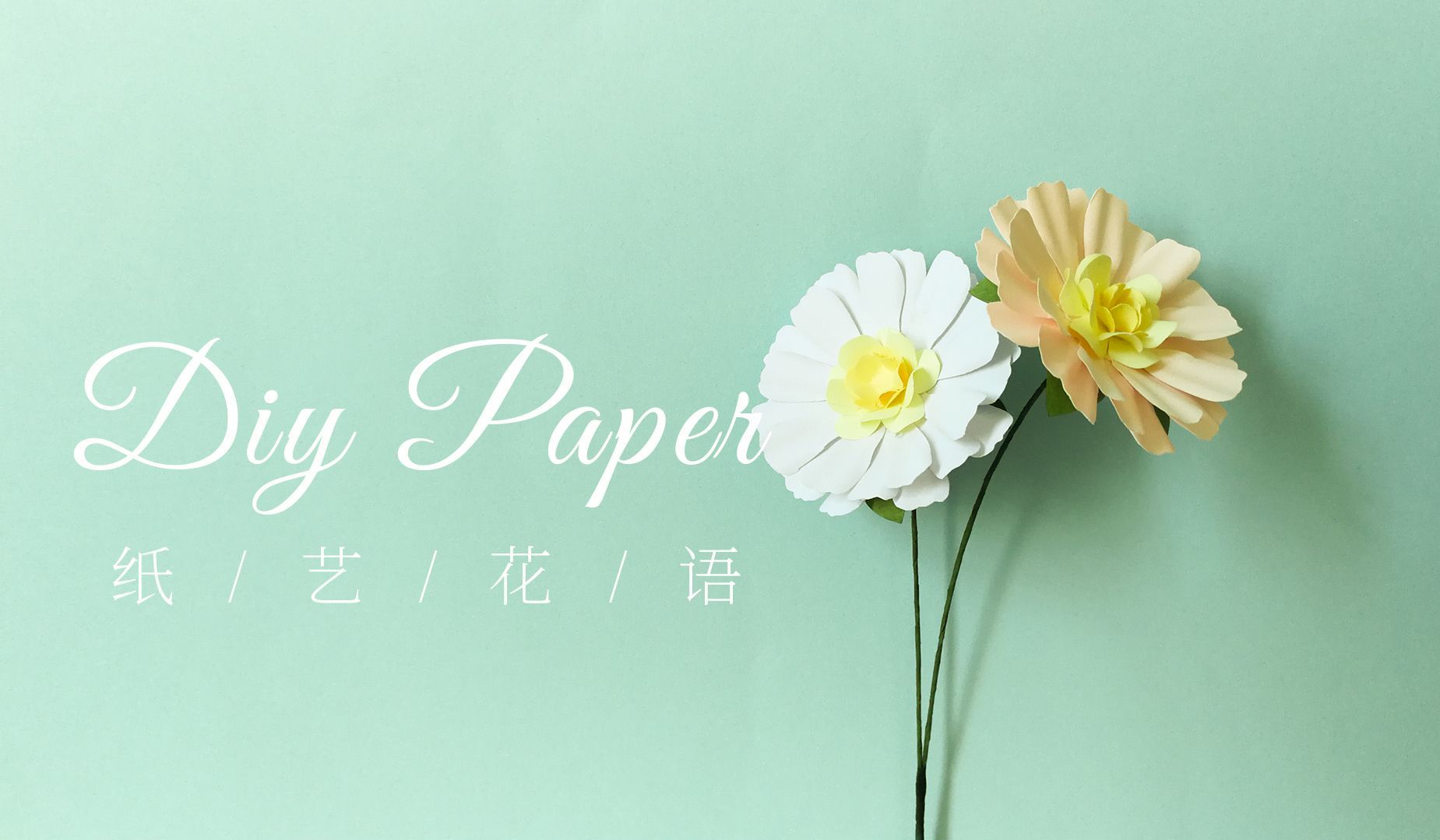 手工DIY纸艺，用纸制作漂亮的波斯菊——《纸艺花语》