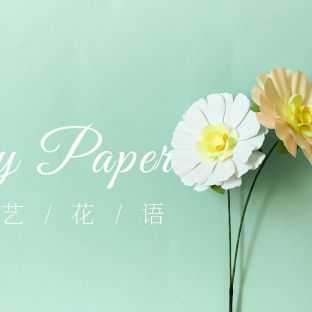 手工DIY纸艺，用纸制作漂亮的波斯菊——《纸艺花语》