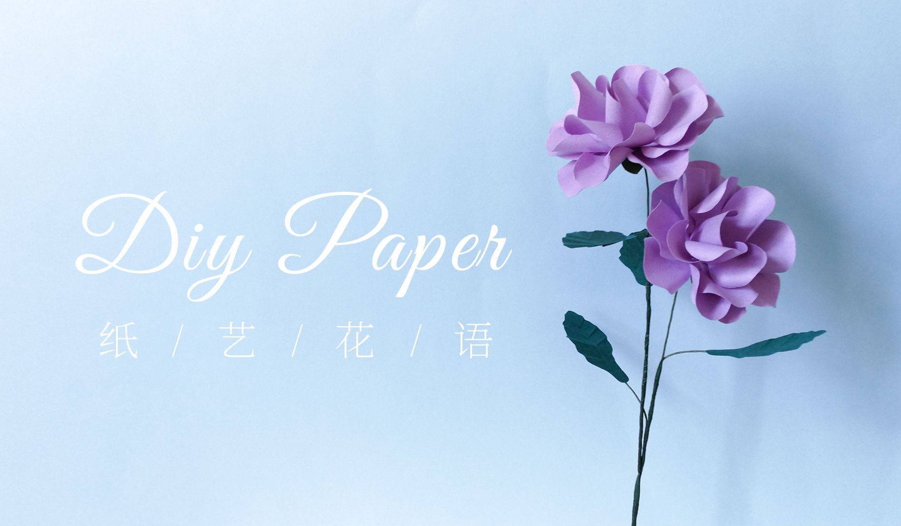 手工DIY纸艺，用纸制作漂亮的洋桔梗——《纸艺花语》