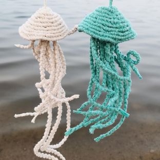 视频教程 | 水母