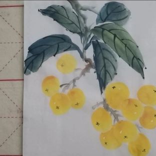 国画写意枇杷