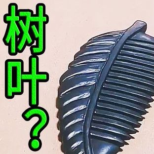 【DIY】树叶梳子？？
