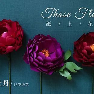 做漂亮的纸花牡丹——《那些花儿》