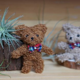 制作简单不用缝合的小抱偶，毛绒绳diy迷你熊制作方法