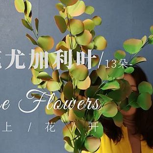 家中点缀好物提升房间格调手工纸艺尤加利叶——《那些花儿》