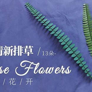 小孩都能做的纸花排草，简单清新自然