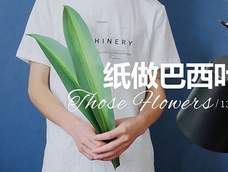 手工DIY纸艺花艺巴西叶,鲜花配草配叶 手工DIY纸艺花艺巴西叶,鲜花配草配叶
