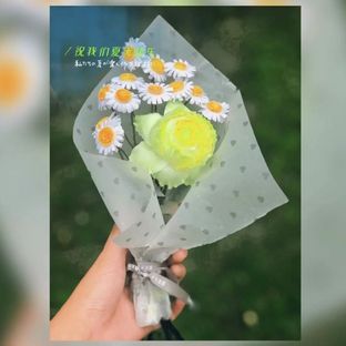 烫花|清新小雏菊