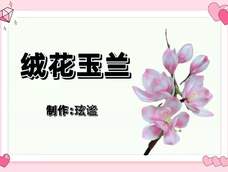 绒花玉兰 绒花玉兰