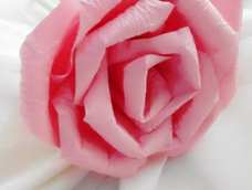 虽然我用了美图，但这些绝非网图哦，这可是我弄了一上午的呢！刚发现我真的很笨啊