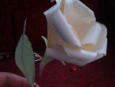 材料不够，不过尽力了！