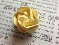 A yellow yellow rose