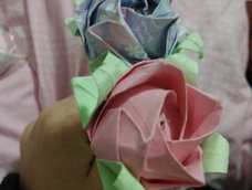 上学了……没怎么玩……折了个花托