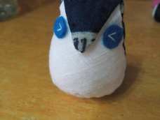 哈哈，丑萌丑萌的猫头鹰