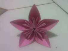 粉色樱花美美哒～罒▽罒