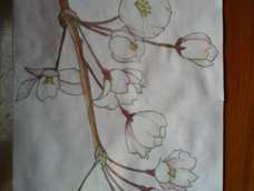 不要在意细节0 0