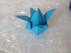 刚刚学的