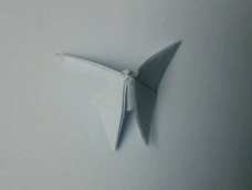 纸折蝴蝶。