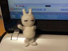 这货就是站不起来…还总觉得哪里有点怪怪的…