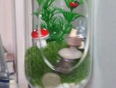 不容易啊(⊙o⊙)