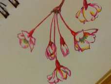 水性彩笔临摹了下。