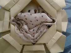 小熊睡在花篮里