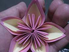 第一朵折纸樱花！