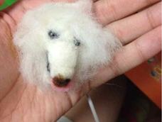 天使👼变成了恶魔👿