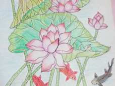 很多颜色都没有，第一次画彩铅