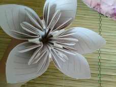 虽然纸张不好看但是这是我第一次折,很用心了