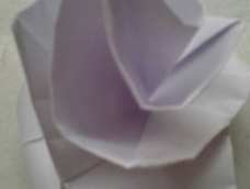 我折的第一个玫瑰，