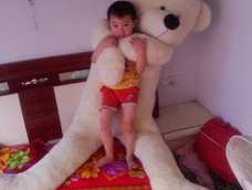 这是我家的大熊熊。