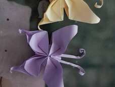 第一次试验品哦😊