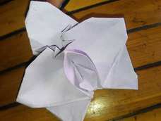 其实多观察,也简单滴~>_