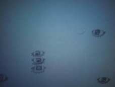 零基础，来点建议