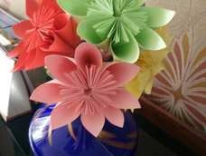富贵花开