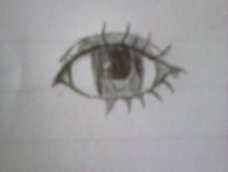 以前从没画过，还请多指点