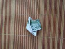 23333毛爷爷戴帽子