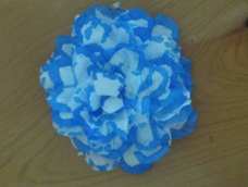 漂亮的花🌸🌸🌸