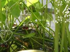七夕情人节。
其实拍了好多图不知道放哪里，喜欢做的过程也喜欢拍的过程。