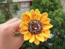 看看我的学习成果，轻粘土向日葵……