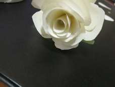 啊哈,自我感觉良好。