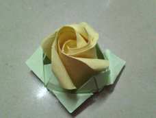 叶子有点残了,原谅我不会翻。