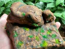 超轻假石头,教程以发布~
(。・ω・。) 国庆快乐呀~各位土友~