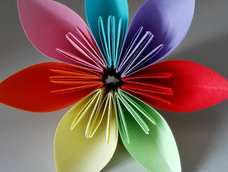 折了一朵七色花#^_^#