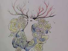 哈哈,我真是业余的太专业,bingo